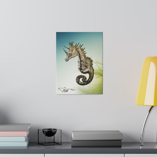 Sea Horse Matte Canvas, Stretched, 0.75"