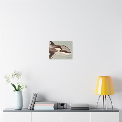 Kamea Orca Splash Matte Canvas, Stretched, 0.75"