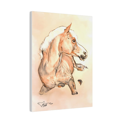 Horse Resting Matte Canvas, Stretched, 0.75"