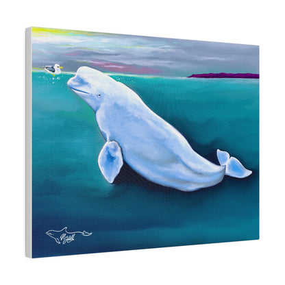 Beluga Whale Hvaldamir Matte Canvas, Stretched, 0.75"