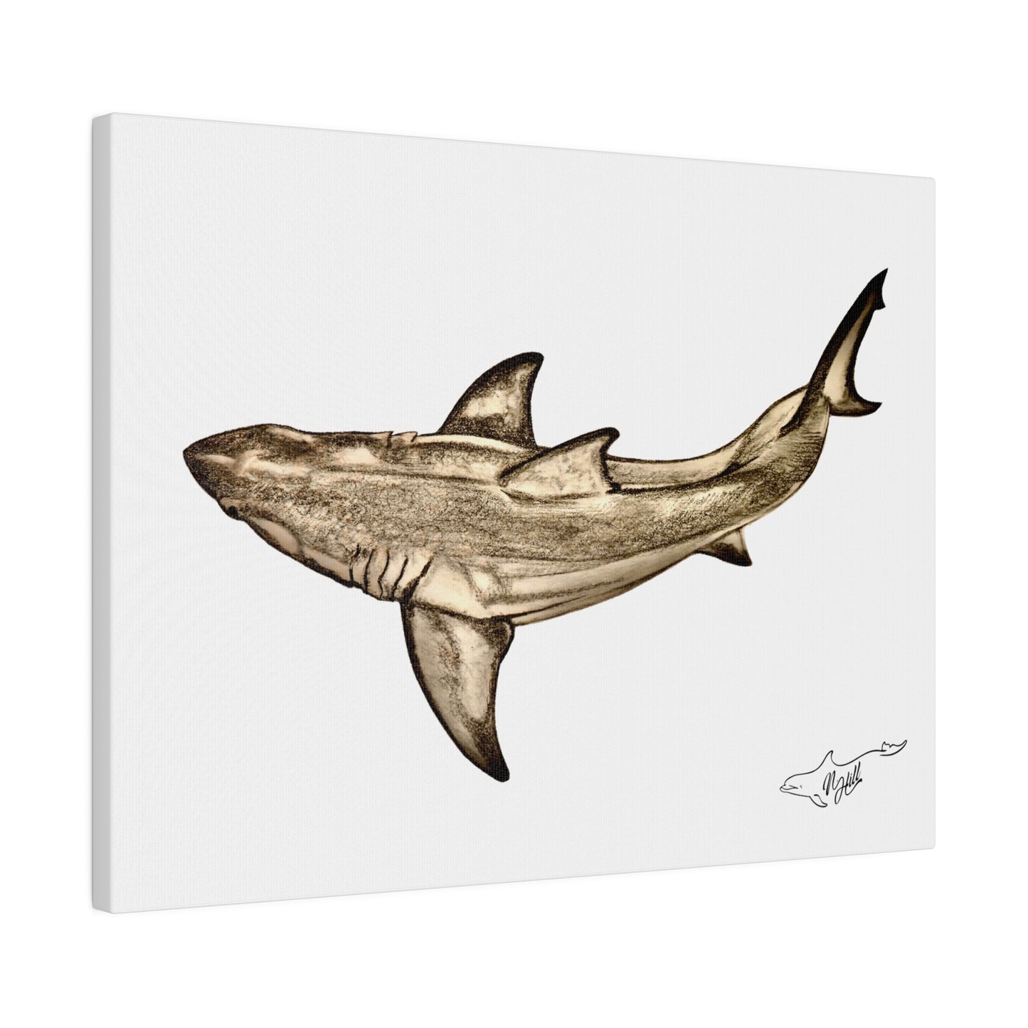 Great White Shark Matte Canvas 16" x 12", Stretched, 0.75"