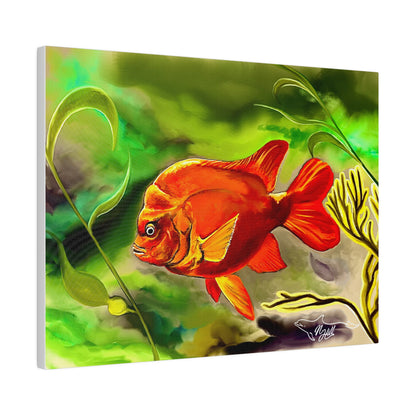 Garibaldi Damselfish Matte Canvas, Stretched, 0.75"