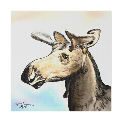 Hidden Springs Moose Matte Canvas, Stretched, 0.75"