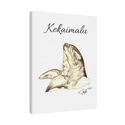 Wholphin Kekaimalu Matte Canvas, Stretched, 0.75"