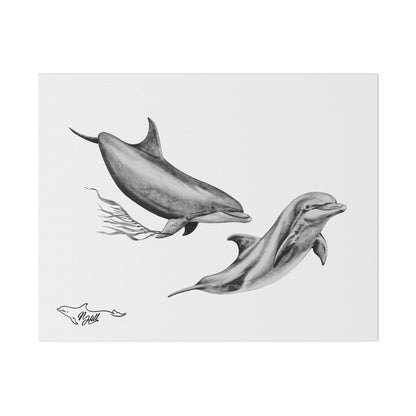 Pacific Wild Dolphin Matte Canvas 14" x 11", Stretched, 0.75"