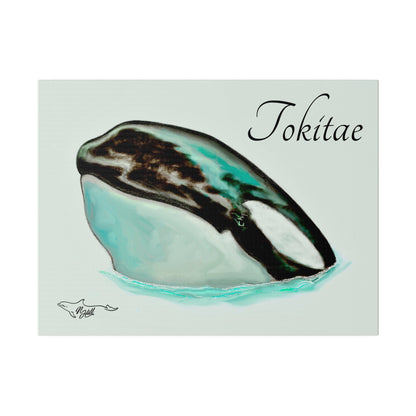 Lolita/Tokitae Orca Matte Canvas, Stretched, 0.75"