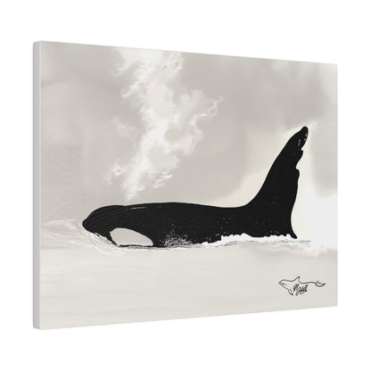 Lolita/Tokitae Orca Matte Canvas, Stretched, 0.75"